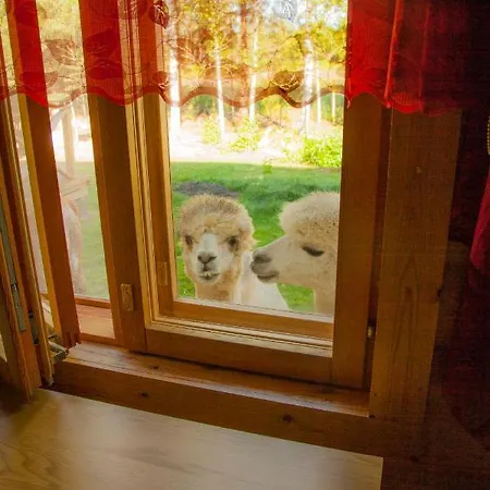 Heinaehattu ロッジ *