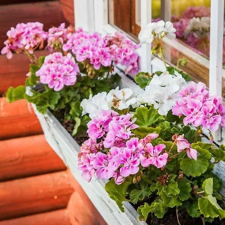 ロッジ Heinaehattu コウヴォラ