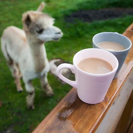 Heinaehattu ロッジ