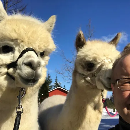 ロッジ Heinaehattu *