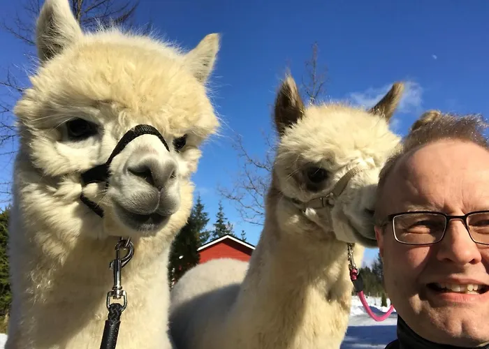 Lodget Heinähattu *